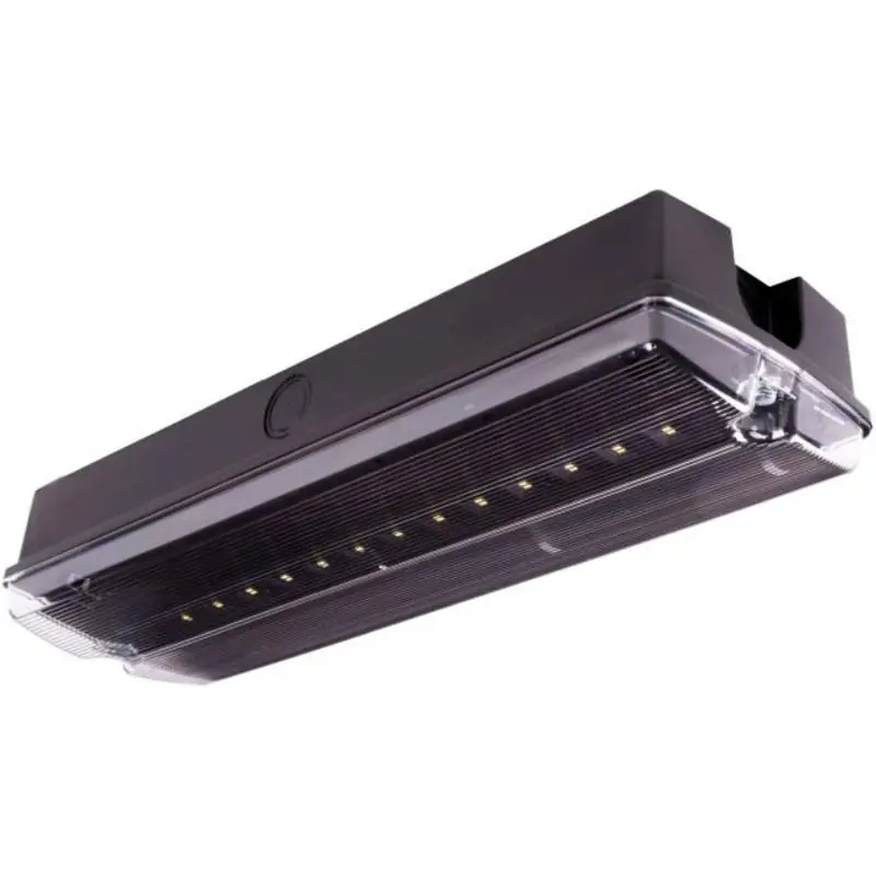 Wybór klientów - Oprawa ewakuacyjna, awaryjna Orion II 250 NM 2H MT IP65 + (OR7, OR8) - 91806